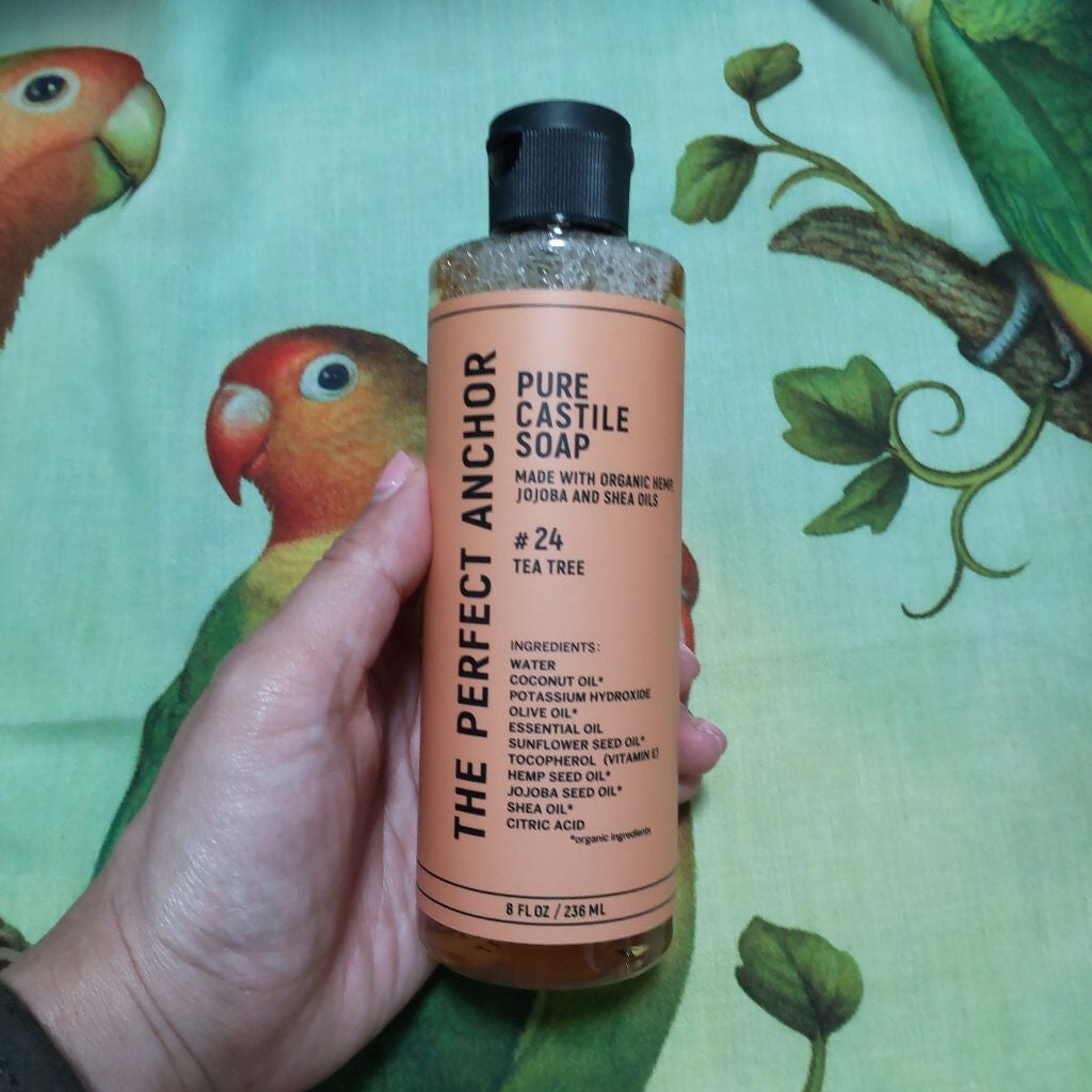 ザ・パーフェクトアンカー ティートゥリー #24/THE PERFECT ANCHOR/ボディソープを使ったクチコミ(1枚目)