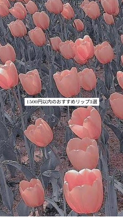 ウォータリーティントリップ/CEZANNE/リップティントを使ったクチコミ(1枚目)