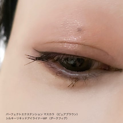 パーフェクトエクステンション マスカラ/D-UP/マスカラを使ったクチコミ(8枚目)
