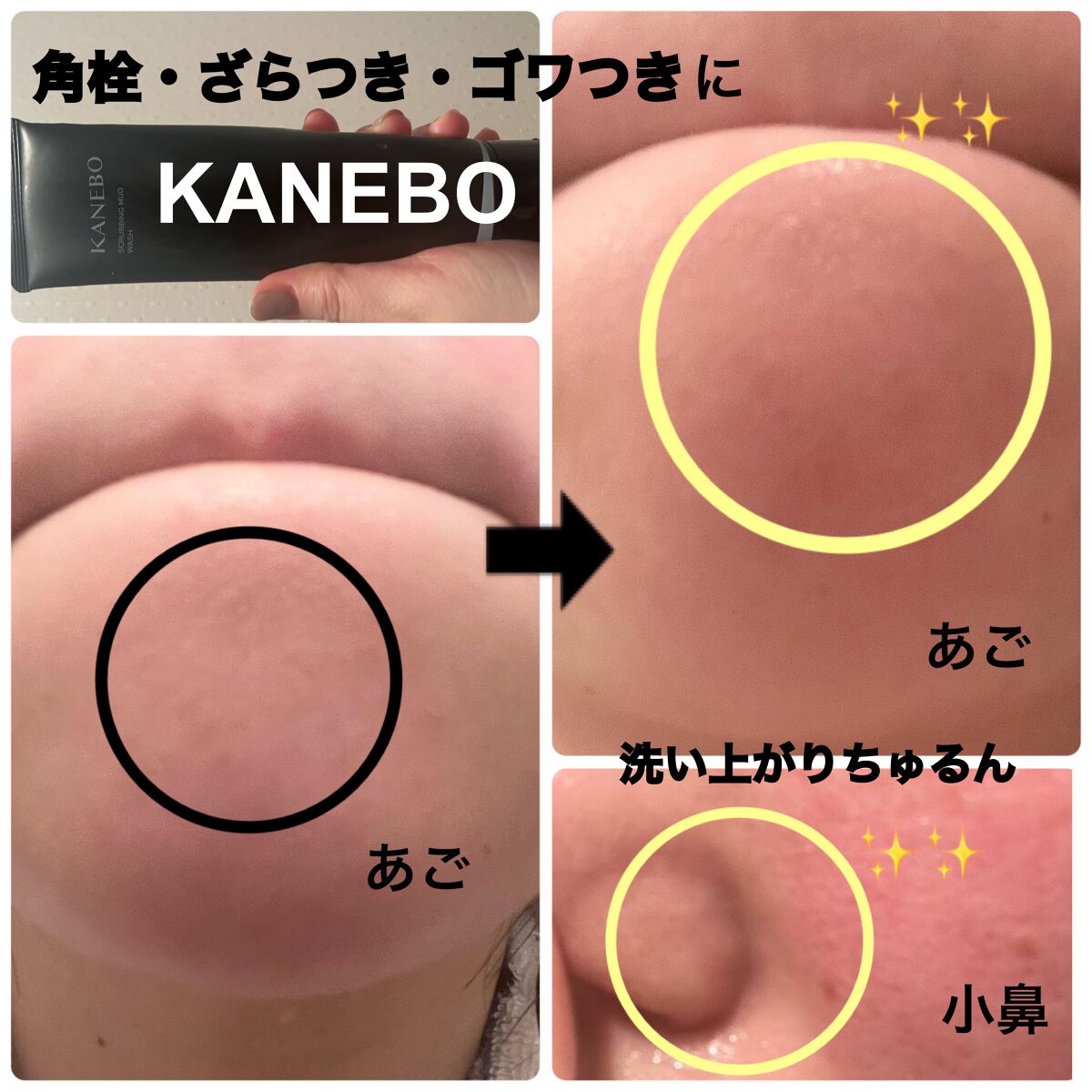 スクラビング　マッド　ウォッシュ/KANEBO/洗顔フォームを使ったクチコミ（1枚目）