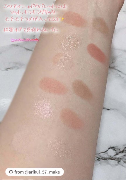 エクスプローラ12色 動物アイシャドウパレット/PERFECT DIARY/アイシャドウパレットを使ったクチコミ(3枚目)