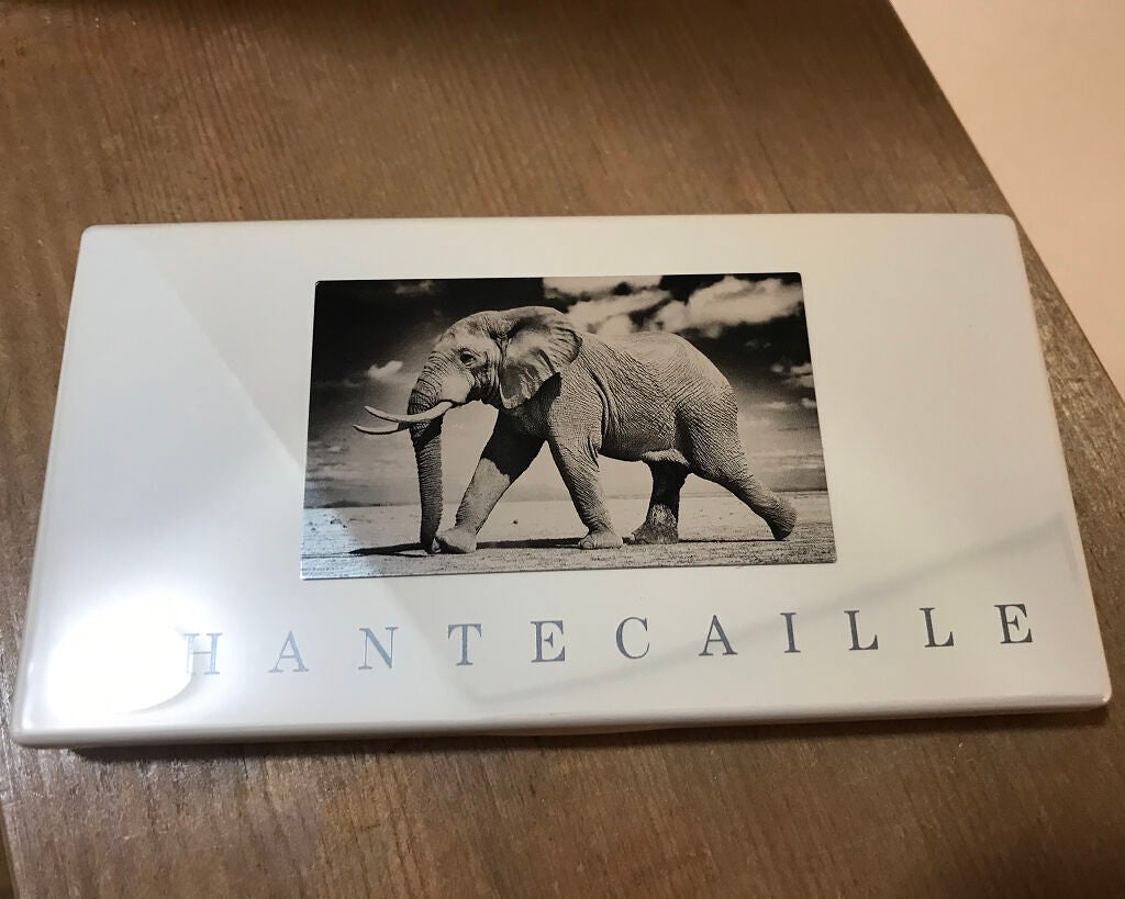 Walk for Giants Safari Collection Eye Trio/シャンテカイユ/アイシャドウパレットを使ったクチコミ(2枚目)