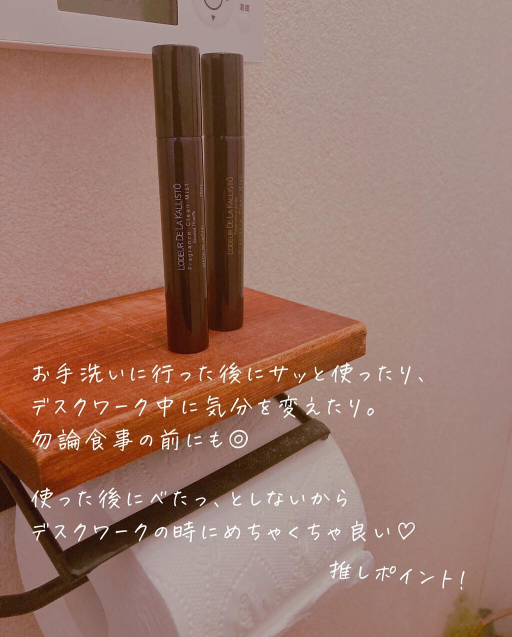 フレグランスクリーンミスト/ロデュール ドゥ ラ カリストー/その他を使ったクチコミ(6枚目)