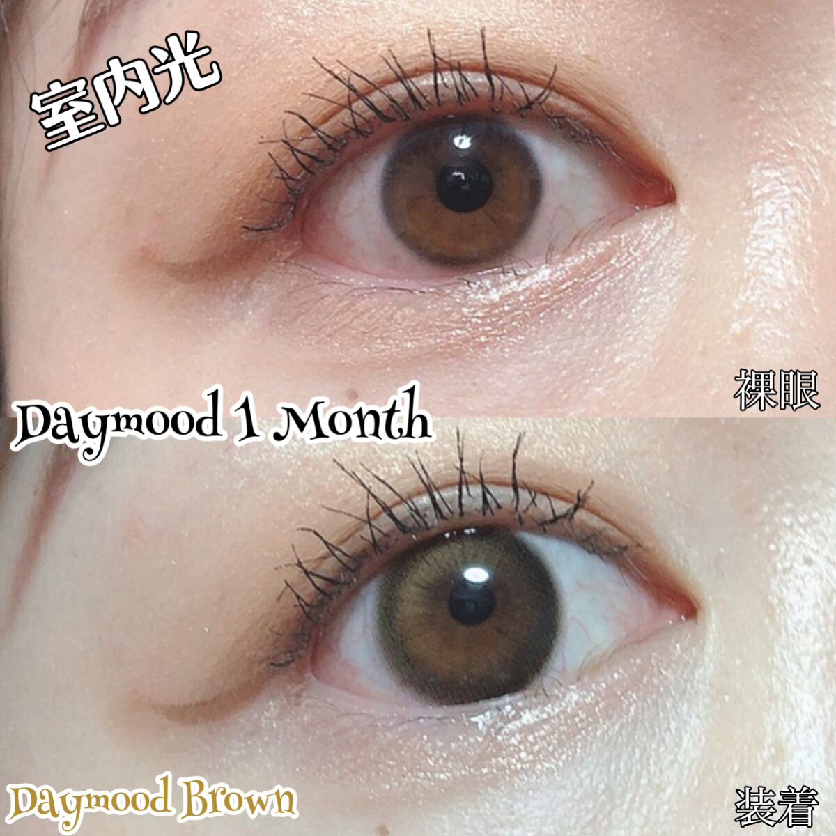 デームードブラウンマンスリー (DAYMOOD BROWN monthly)/OLOLA/1ヶ月(1MONTH)カラコンを使ったクチコミ(3枚目)