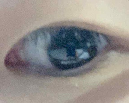 リアルダブルアイリッド/K-パレット/二重まぶた用アイテムを使ったクチコミ(2枚目)