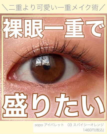アイパレット/sopo/アイシャドウパレットを使ったクチコミ(1枚目)