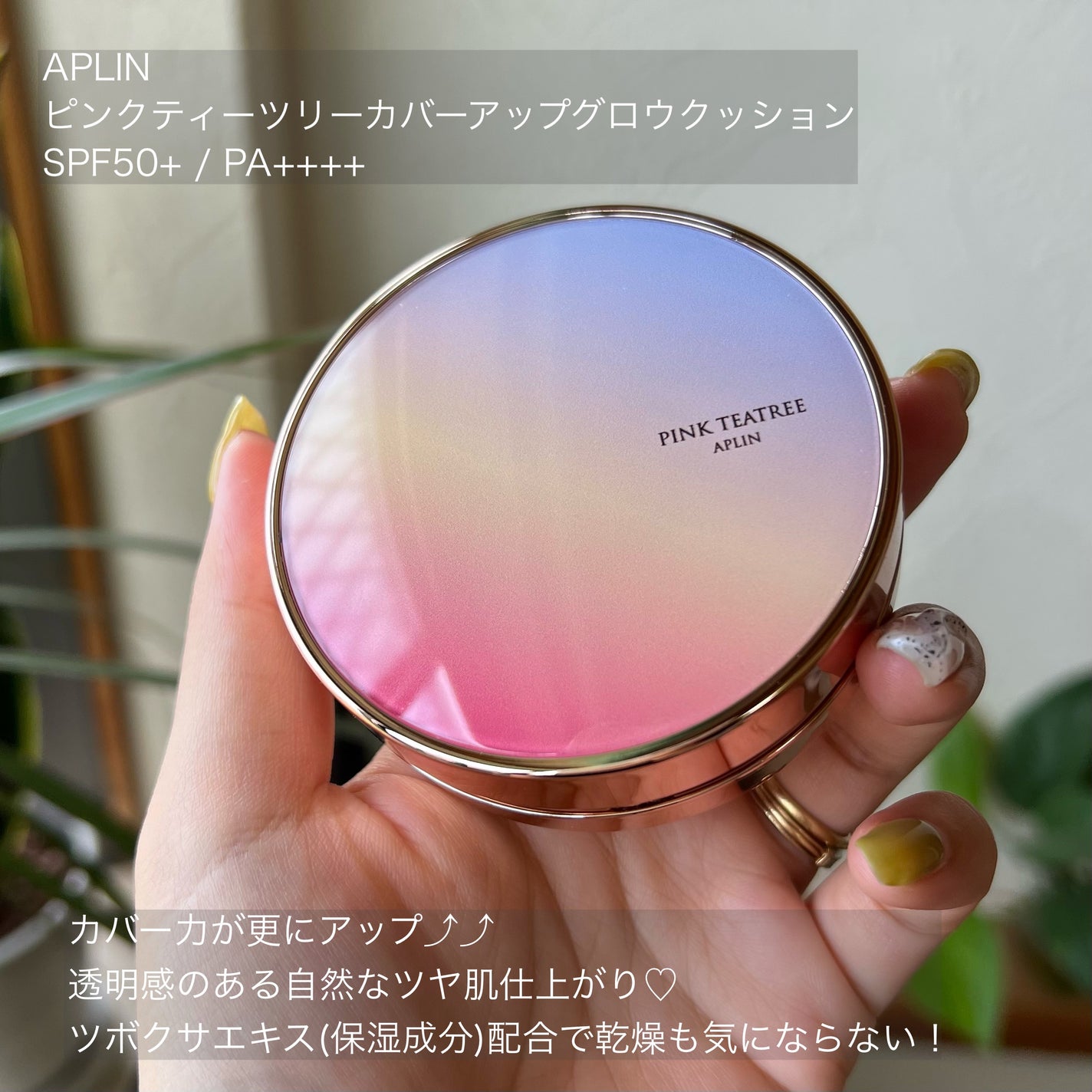ピンクティーツリーカバーアップグロウクッション/APLIN/クッションファンデーションを使ったクチコミ(2枚目)