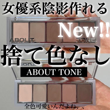 リターントゥーベーシックシャドウパレット/ABOUT TONE/パウダーアイシャドウを使ったクチコミ（1枚目）