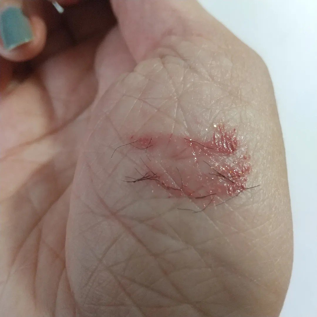 ラッシュエキスパンダー ロングロングロング/MAJOLICA MAJORCA/マスカラを使ったクチコミ（2枚目）