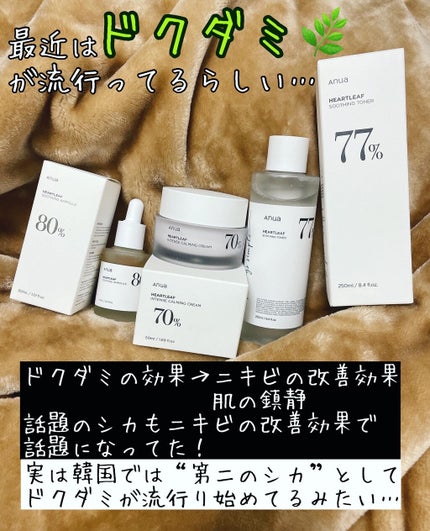 ドクダミ 77 スージングトナー/Anua/化粧水を使ったクチコミ(4枚目)