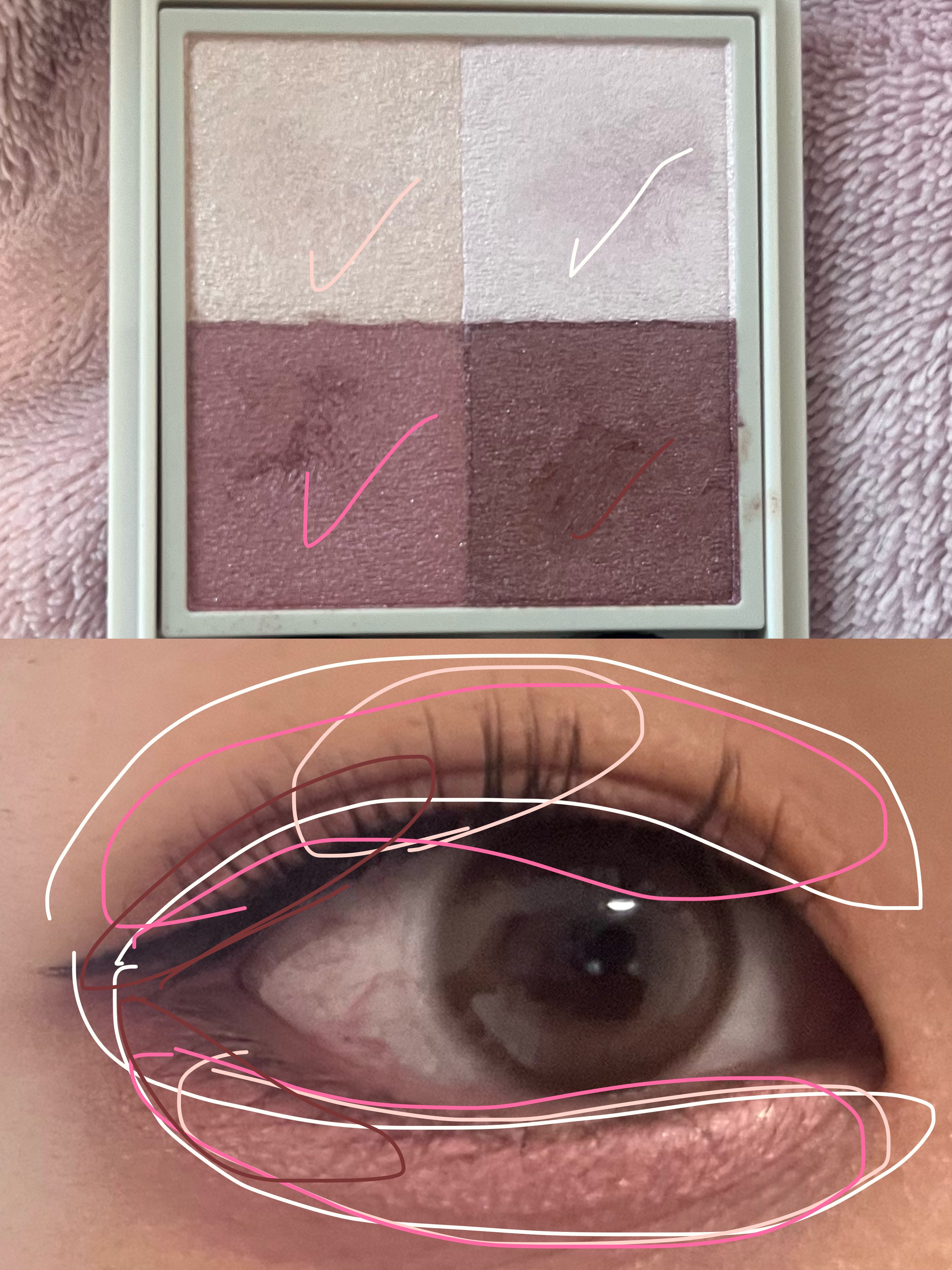 ニュアンス デューイ クリエイター/Visée/アイシャドウパレットを使ったクチコミ（2枚目）