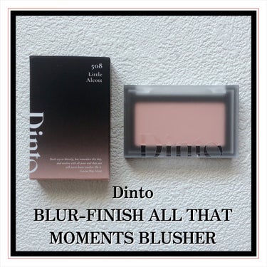 Blur-Finish Blusher/Dinto/パウダーチークを使ったクチコミ（2枚目）