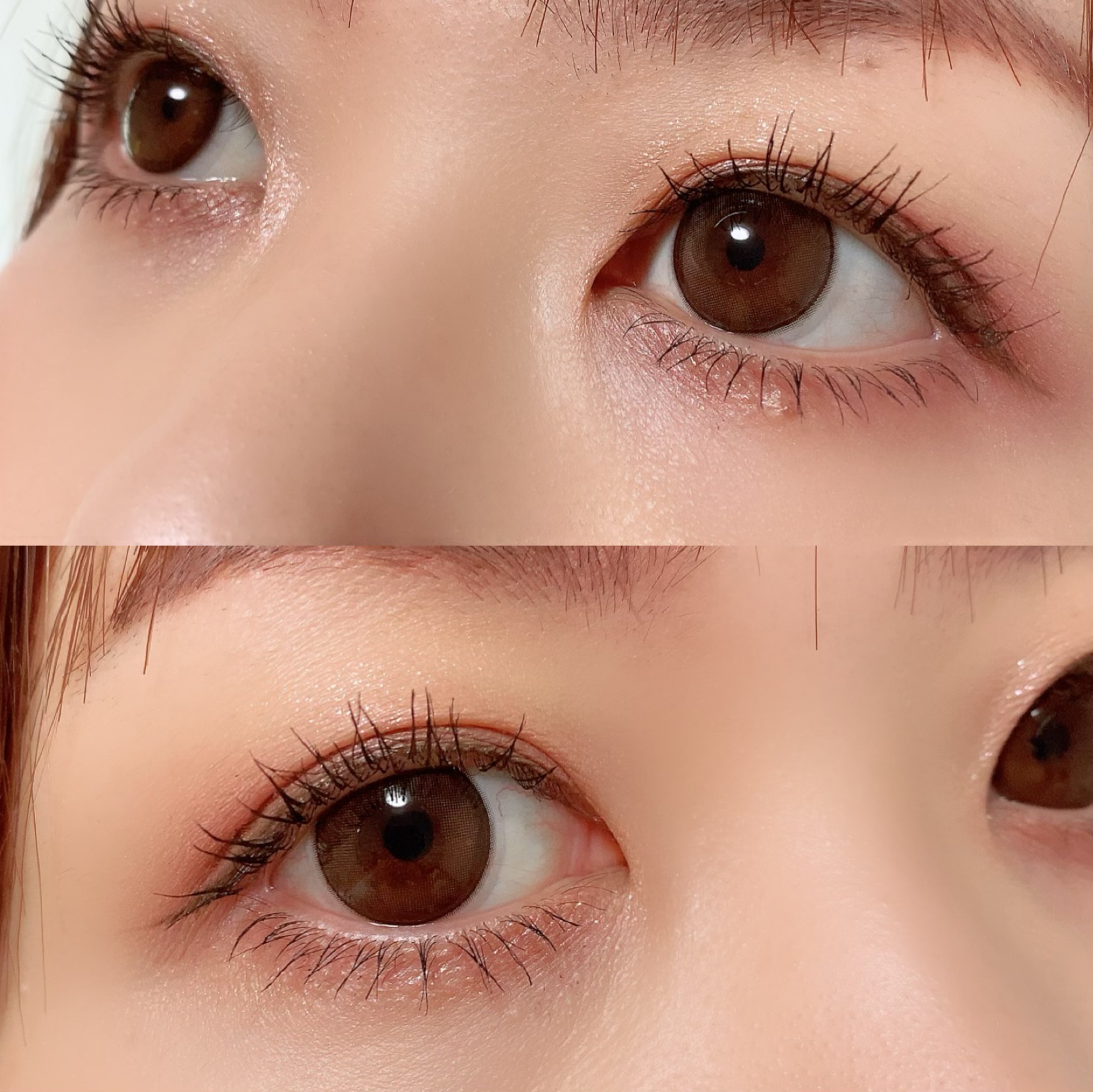 melady 1day アイドルリング/melady/ワンデー（１DAY）カラコンを使ったクチコミ（3枚目）