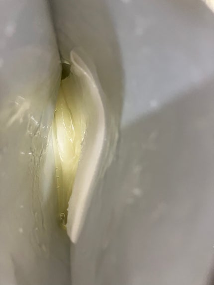 アンプルマスク ザ オリジナルセレクション/JMsolution/シートマスク・パックを使ったクチコミ(6枚目)