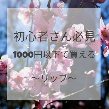 こんにちは🌱マダオです。

今回は、前回に引き続き初心者さん必見の投稿です！

（初心者さんでなくても見てくれるとマダオは喜びます🤗）

では、どうぞ👇

ーーーーーーーーーーーーーーーーーーーーーーー