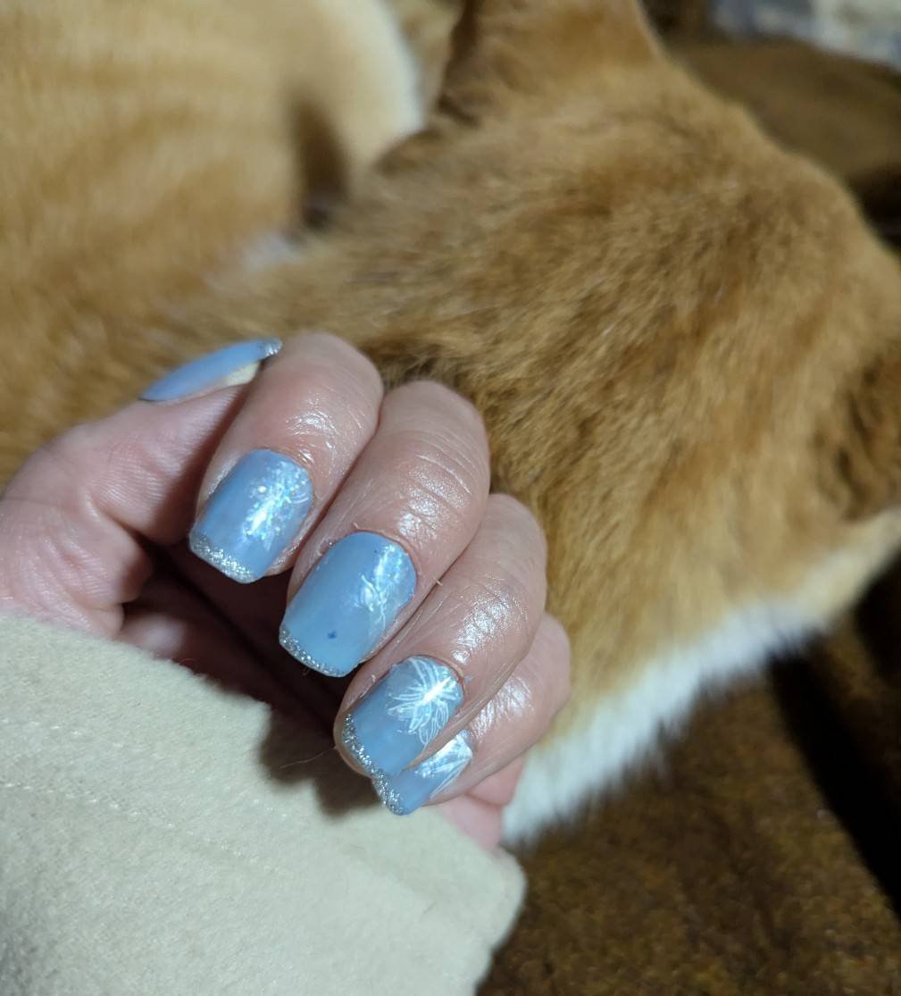 ネイルホリック BL917/ネイルホリック/マニキュアを使ったクチコミ（2枚目）