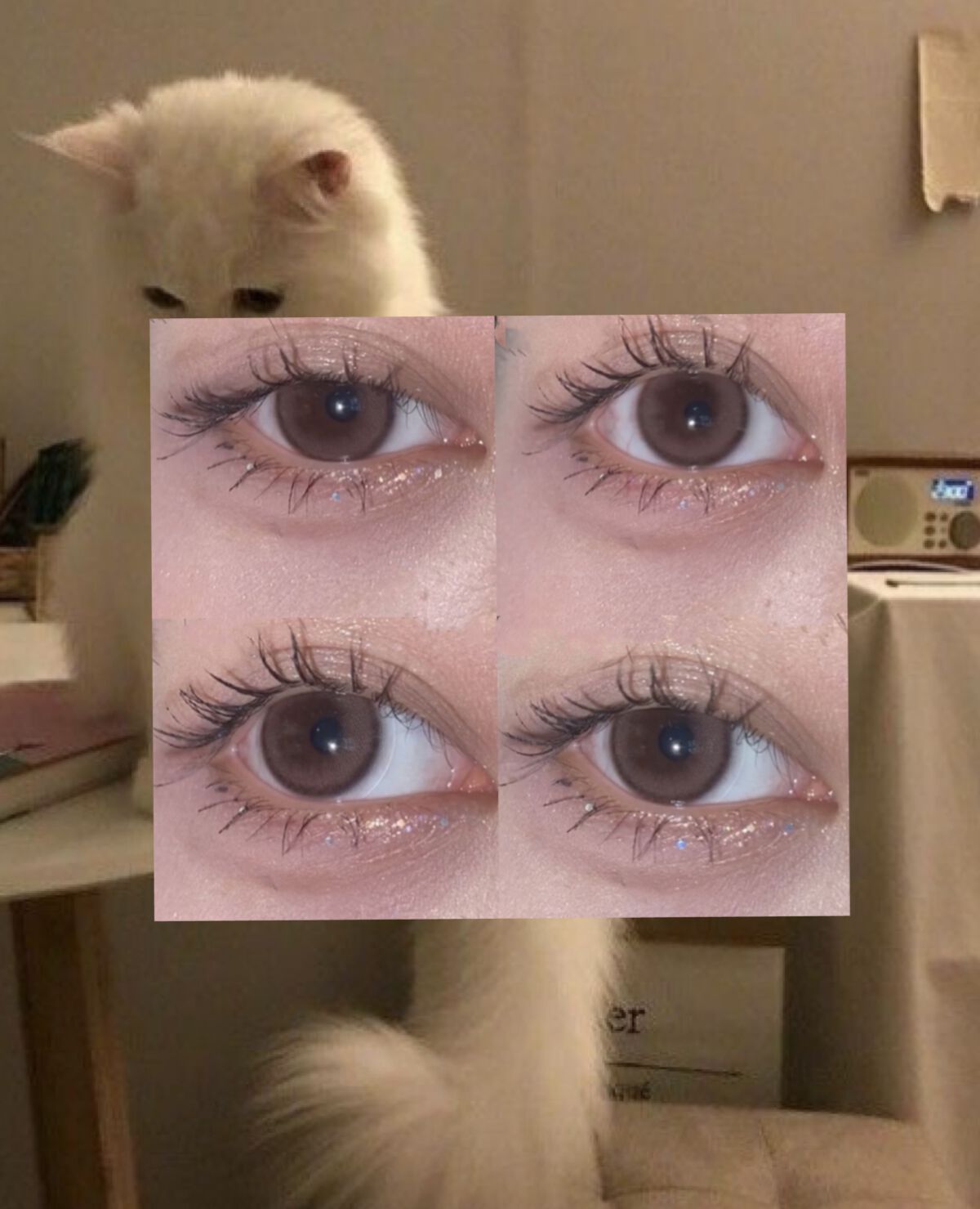 グリッター イルミネーションライナー R/CipiCipi/リキッドアイライナーを使ったクチコミ（1枚目）