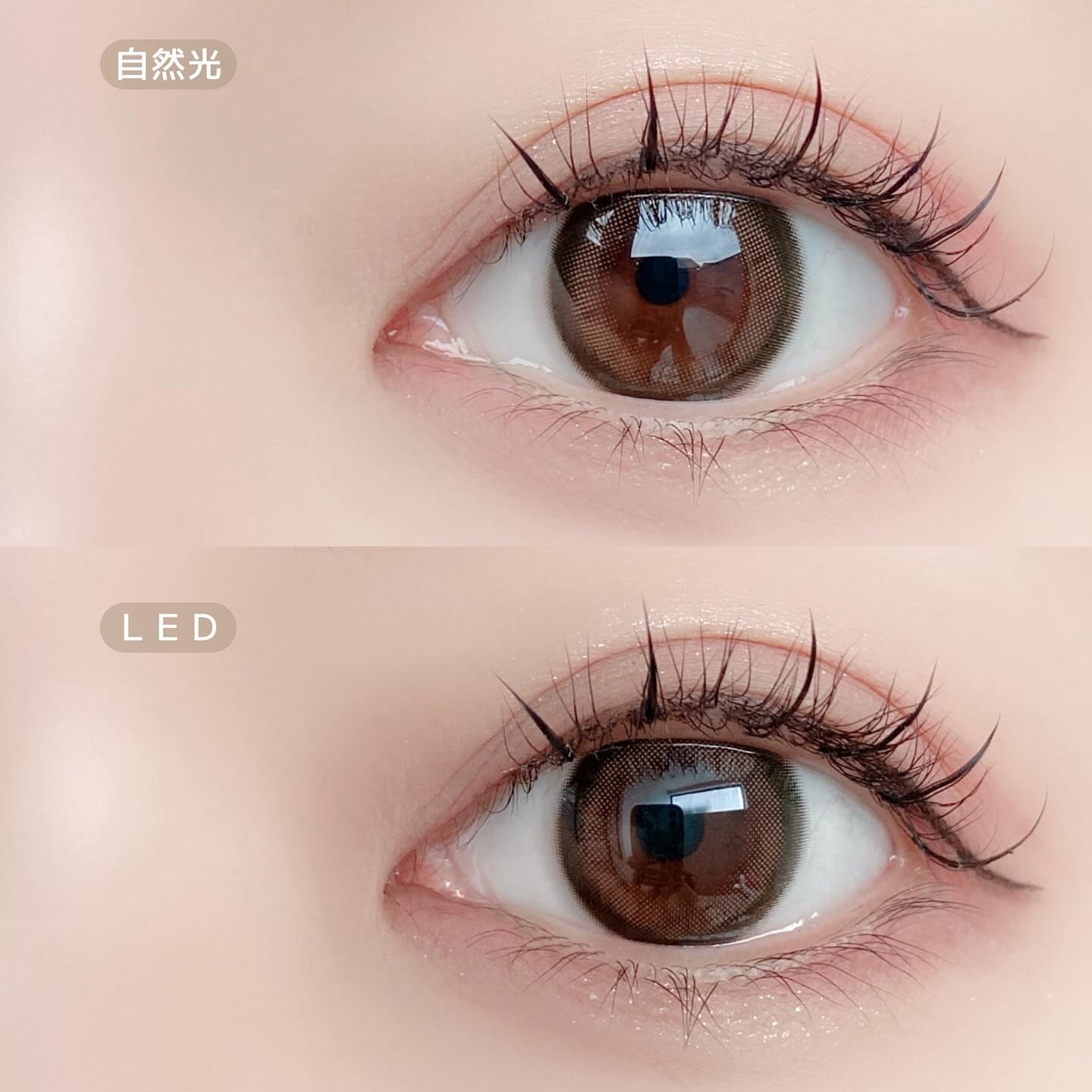 MOLAK 1month/MOLAK/１ヶ月（１MONTH）カラコンを使ったクチコミ（3枚目）