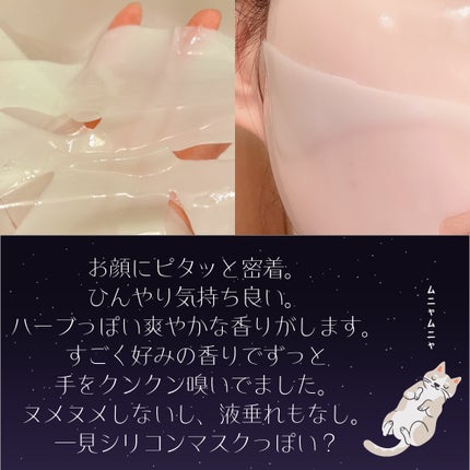 プレミアムシカトリートメントフィッティングマスクパック/WellDerma/シートマスク・パックを使ったクチコミ(3枚目)