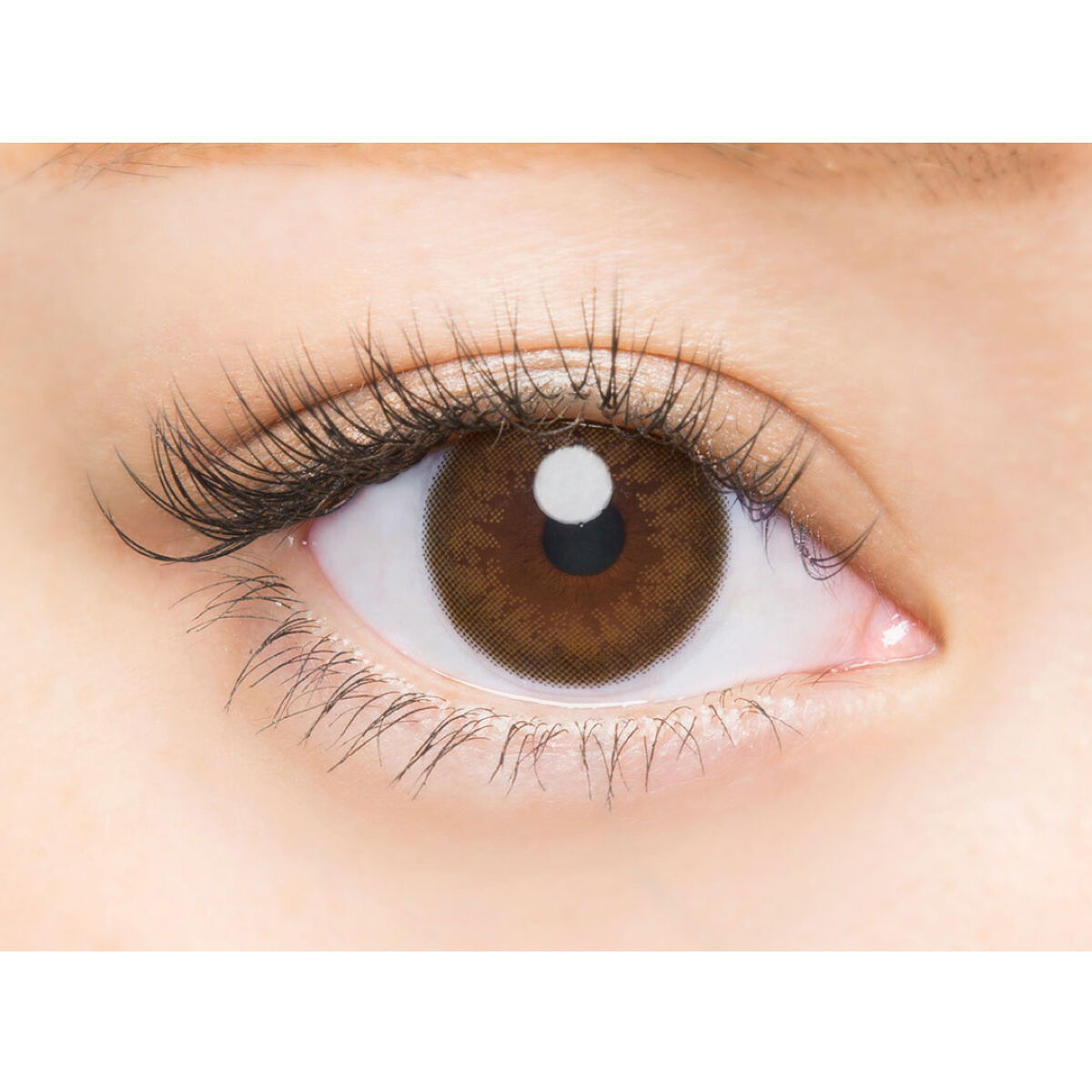 バンビシリーズ ワンデー ナチュラル Natural Brown