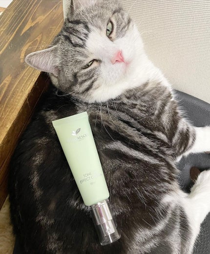 トーンアップエフェクトクリーム/Pittoresco/化粧下地を使ったクチコミ(2枚目)