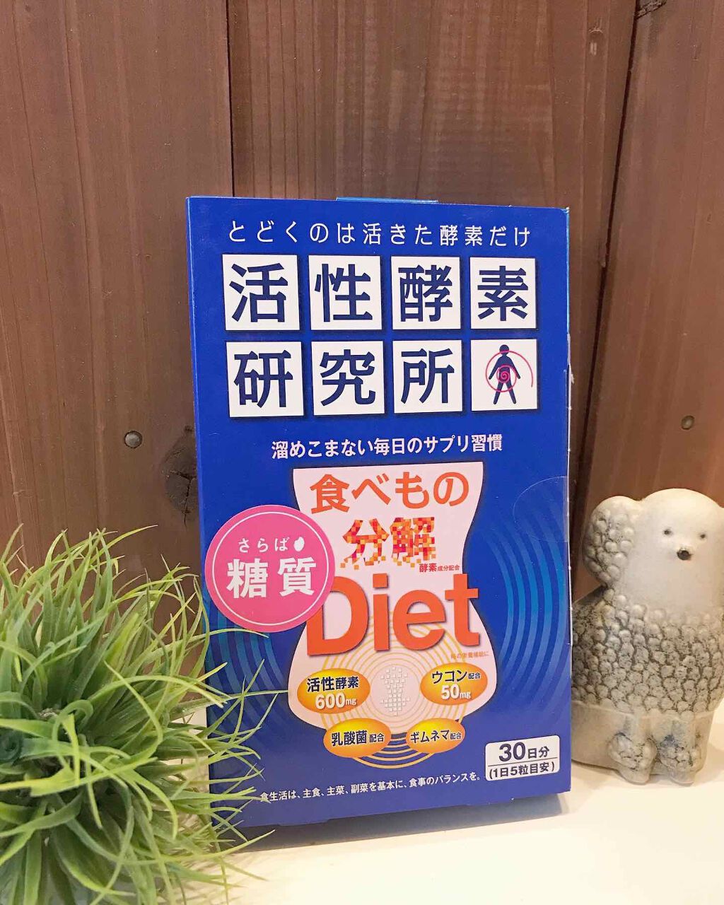 はっち on LIPS 「活性酵素研究所を飲んでみました。1日5錠飲むとお腹のあたりがも..」(1枚目)