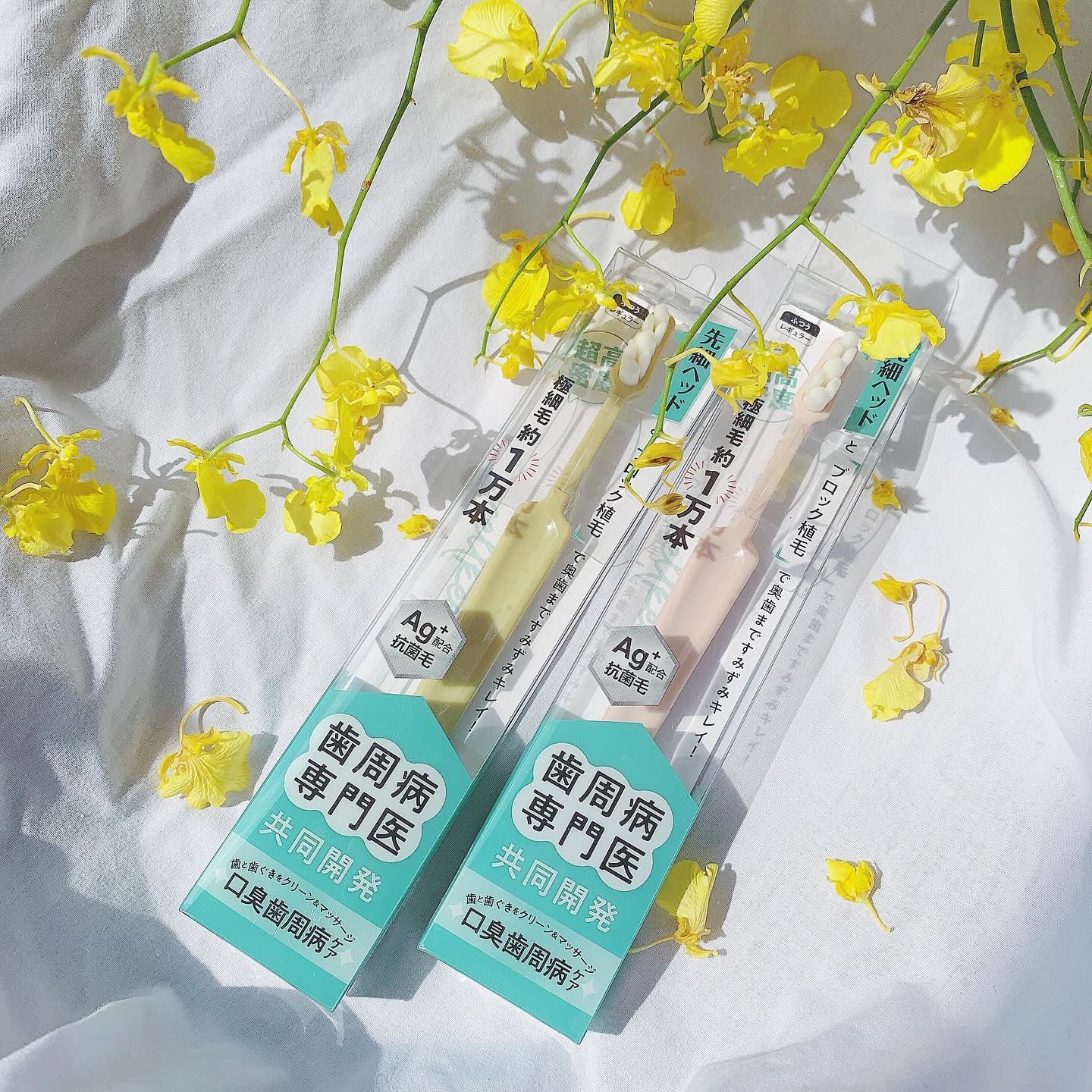 歯周病専門医共同開発の歯ブラシ🪥
⁡
セルキープ
¥547(税込)
⁡
⁡
高密度のブラシなので
磨き心地が良くて
歯の隙間まで優しくしっかり
ブラッシングができました🧼
⁡
ヘッドが先細なので
磨きにくい奥歯も難なく磨けました🦷
⁡