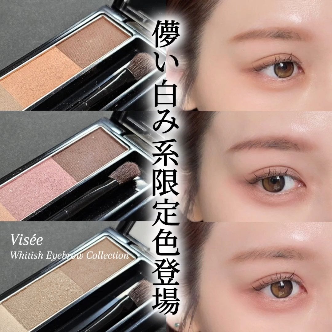 ヴィセ リシェ アイブロウパウダー/Visée/パウダーアイブロウを使ったクチコミ(1枚目)