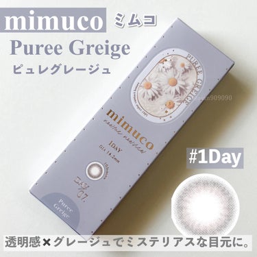 mimuco 1day ピュレグレージュ/mimuco/ワンデー（１DAY）カラコンの画像