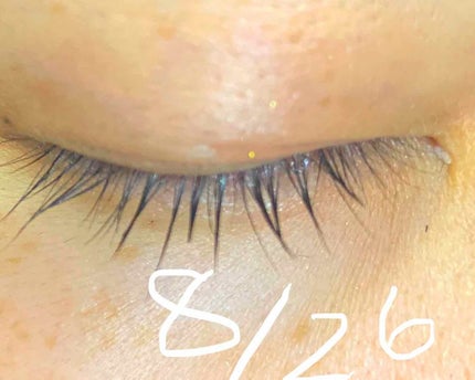 ラッシュジェリードロップ EX/MAJOLICA MAJORCA/まつげ美容液を使ったクチコミ(4枚目)