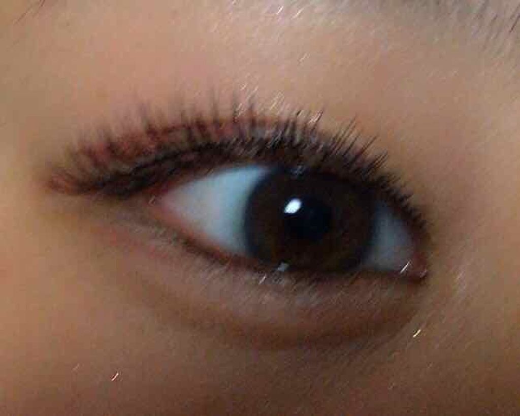 ミッシュブルーミン コラボアイラッシュ/DAISO/つけまつげを使ったクチコミ（3枚目）