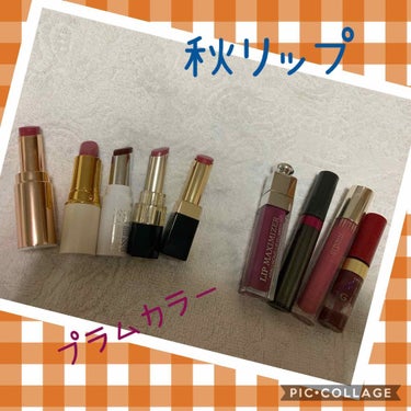 【旧】ディオール アディクト リップ マキシマイザー/Dior/リップグロスを使ったクチコミ（1枚目）