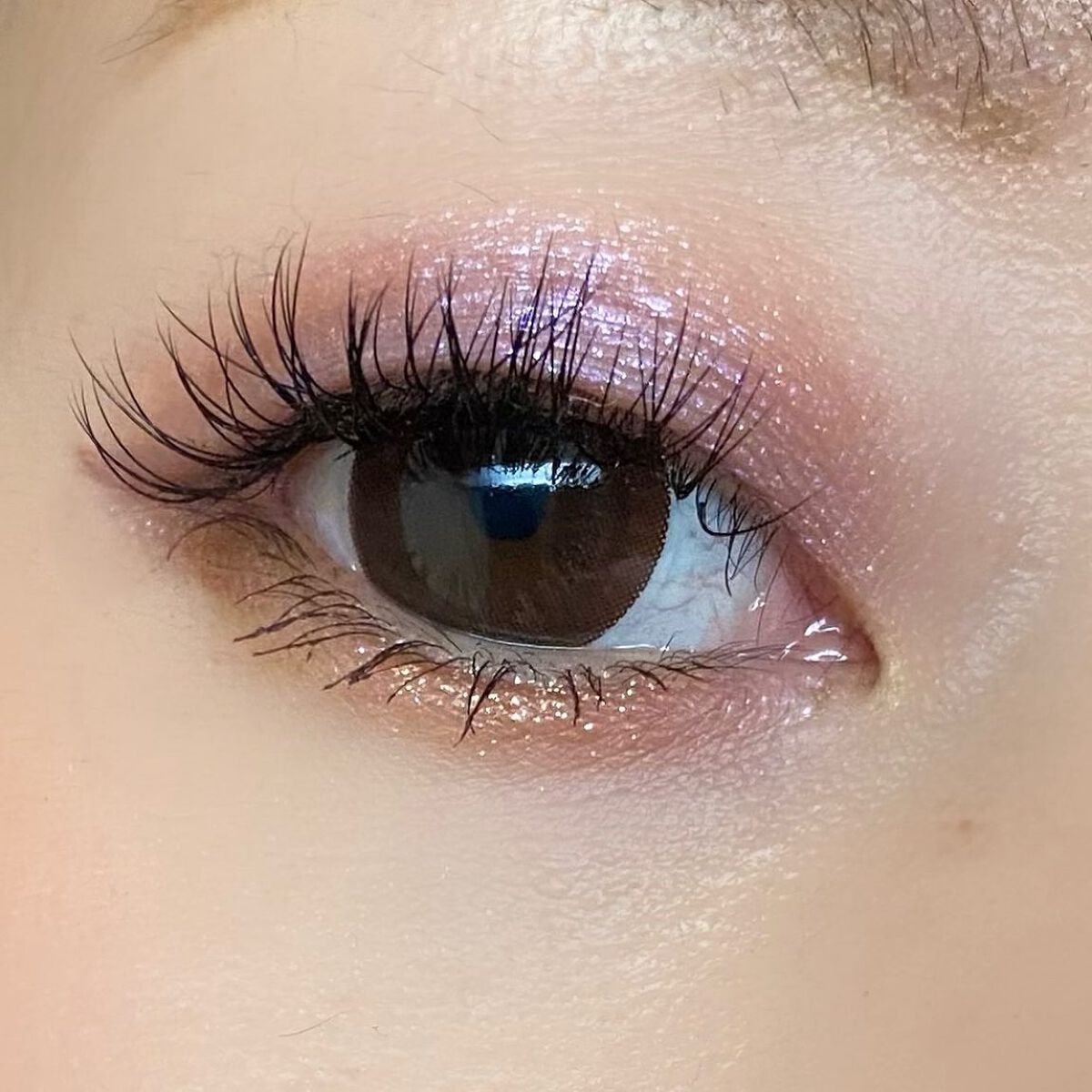 エターナルプリズムアイパレット/shu uemura/アイシャドウパレットを使ったクチコミ(5枚目)