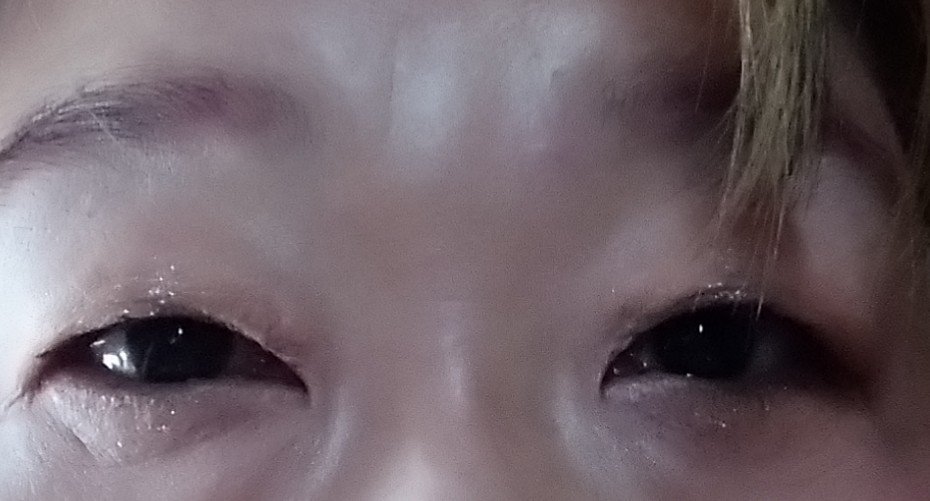 レトロマグネティック アイシャドウパレット/FlowerKnows/アイシャドウパレットを使ったクチコミ（2枚目）