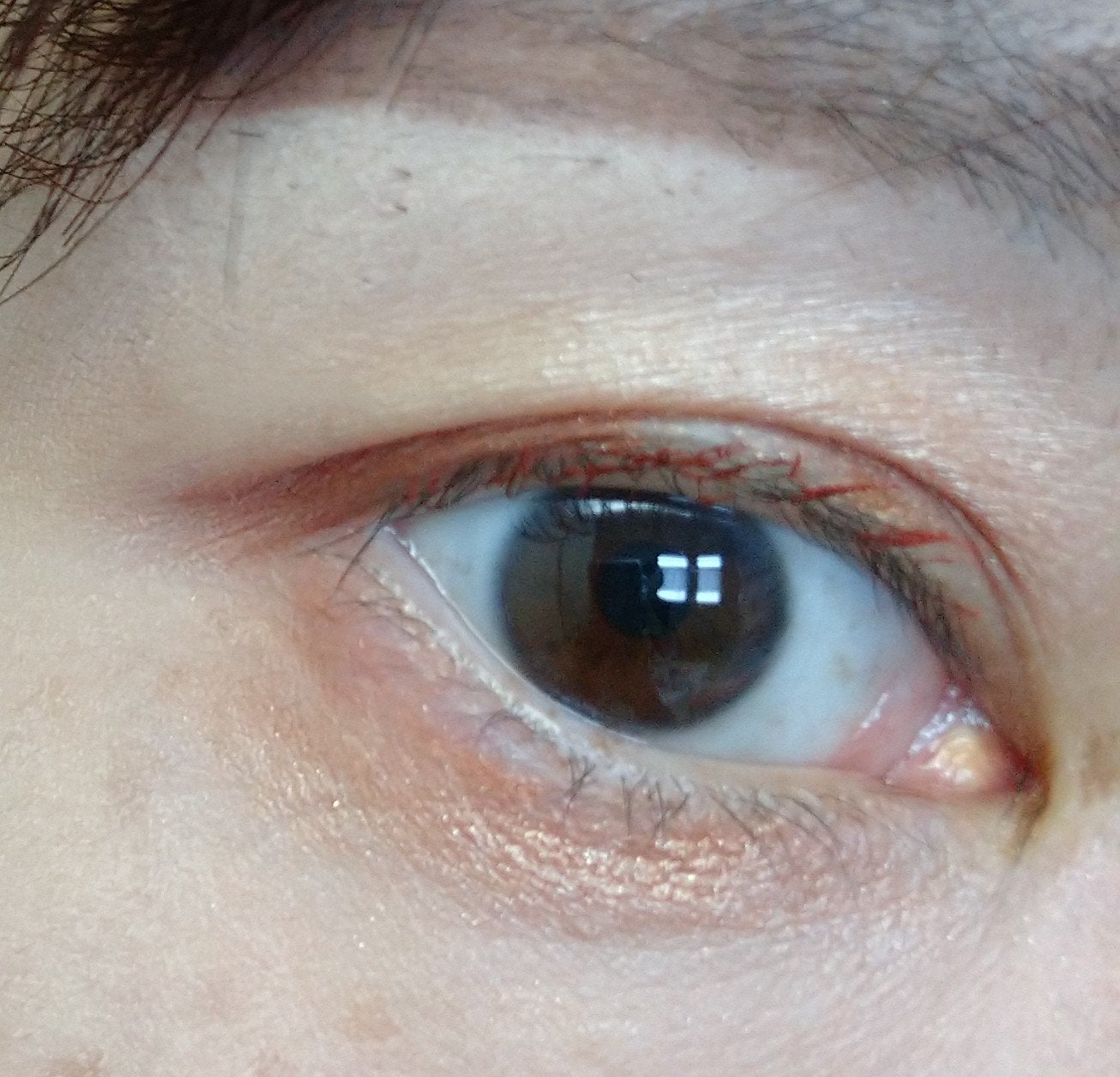 びー玉 on LIPS 「やっと&beを使いだした件(シャドウパレット カッパーブラウン..」(3枚目)