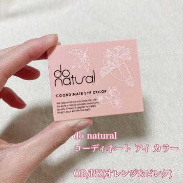 コーディネート アイ カラー/do natural/パウダーアイシャドウを使ったクチコミ（2枚目）