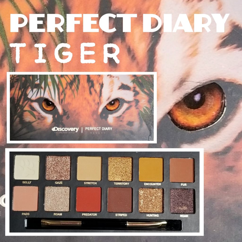 エクスプローラ12色 動物アイシャドウパレット/PERFECT DIARY/アイシャドウパレットを使ったクチコミ（1枚目）