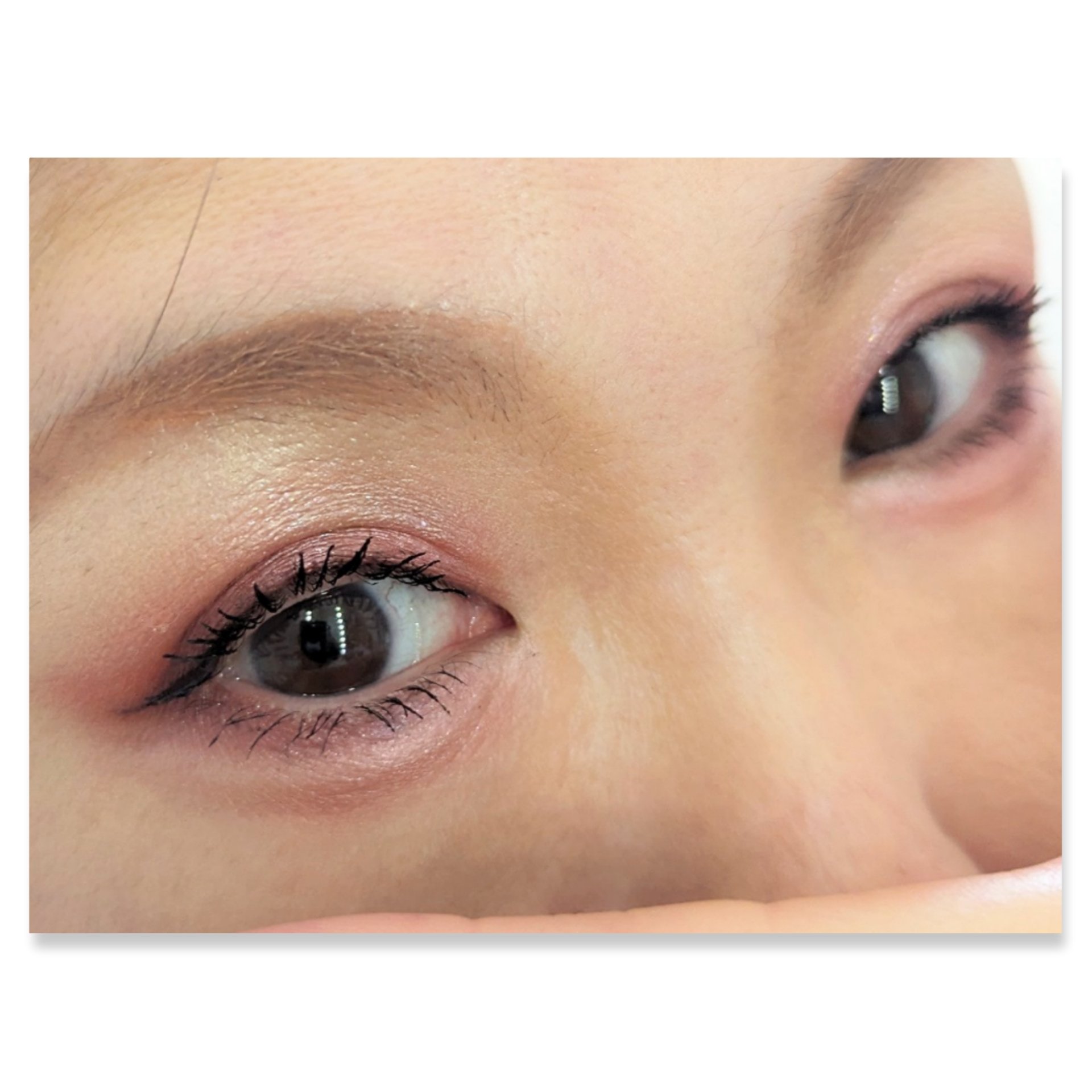 ジューシーピュアアイズ 14 テンダーフラワー/キャンメイク/アイシャドウパレットを使ったクチコミ（2枚目）