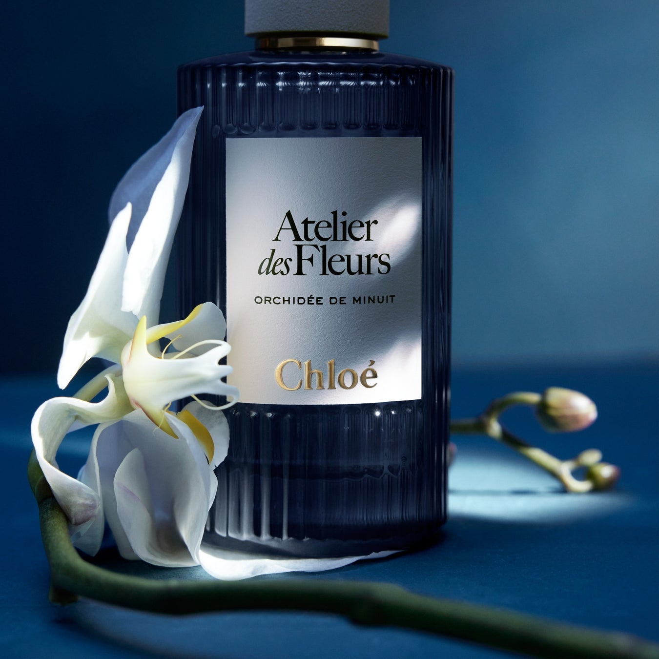 未開封 クロエ CHLOE アトリエデフルール オードパルファム 50ml 試してみた】クロエ アトリエ デ フルール オードパルファム
