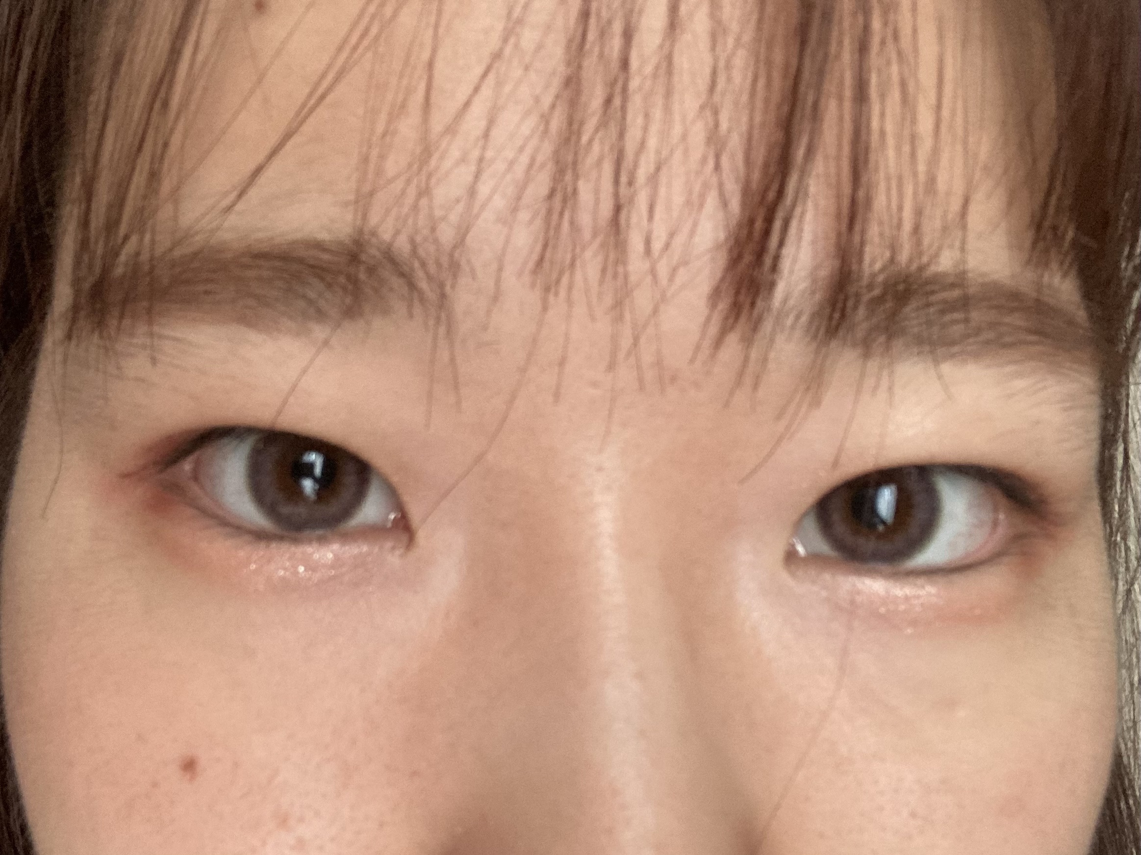 EDNA 1day あじさいラベンダー/EDNA/ワンデー（１DAY）カラコンを使ったクチコミ（1枚目）