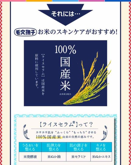 お米のマスク/毛穴撫子/シートマスク・パックを使ったクチコミ(2枚目)