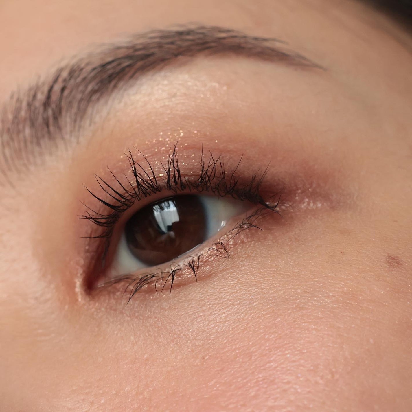 ピュア カラー ブラッシュ/SUQQU/パウダーチークを使ったクチコミ(2枚目)