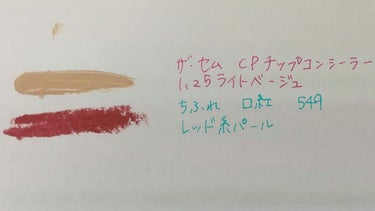 カバーパーフェクション チップコンシーラー/the SAEM/リキッドコンシーラーを使ったクチコミ（3枚目）