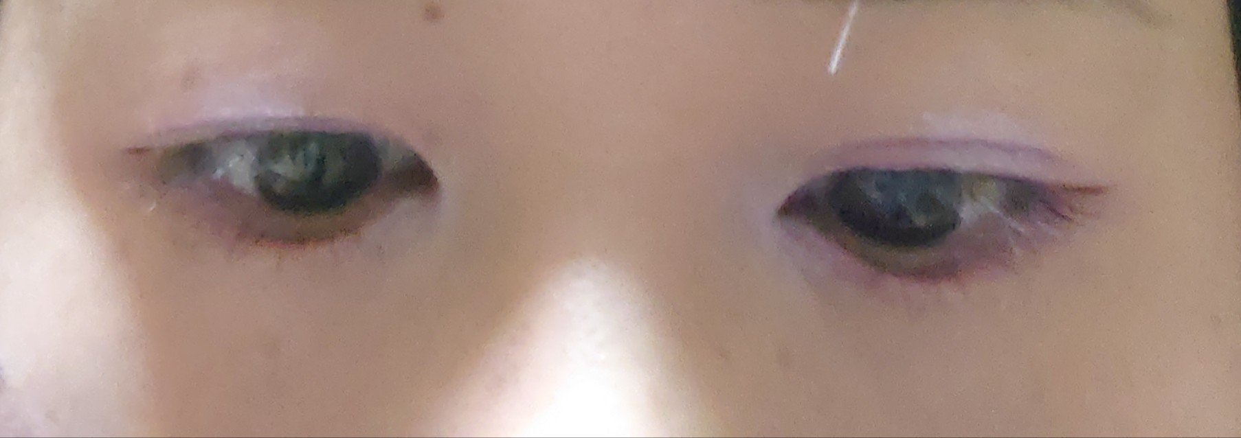 プロ アイ パレット エアー/CLIO/アイシャドウパレットを使ったクチコミ（3枚目）