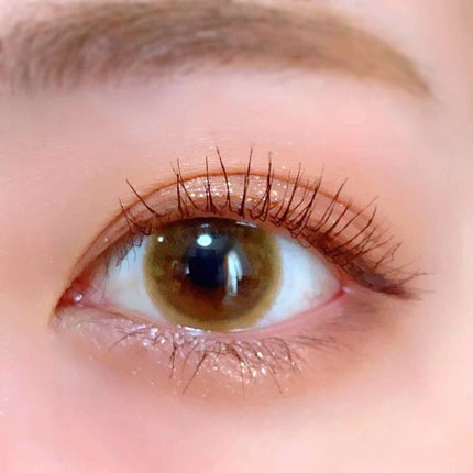 シャドウパレット/dasique/アイシャドウパレットを使ったクチコミ(2枚目)