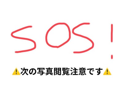 ãããðâ ° on LIPS ãã¯ãããŸããŠãããããšç³ããŸãðžãšïŒïŒïŒçªç¶ã§ããïŒïŒïŒïŒïŒïŒ..ãïŒ1æç®ïŒ