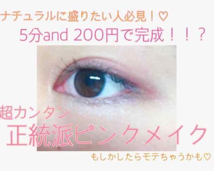 12色アイシャドウパレット/LOUJENE/アイシャドウパレットを使ったクチコミ(1枚目)