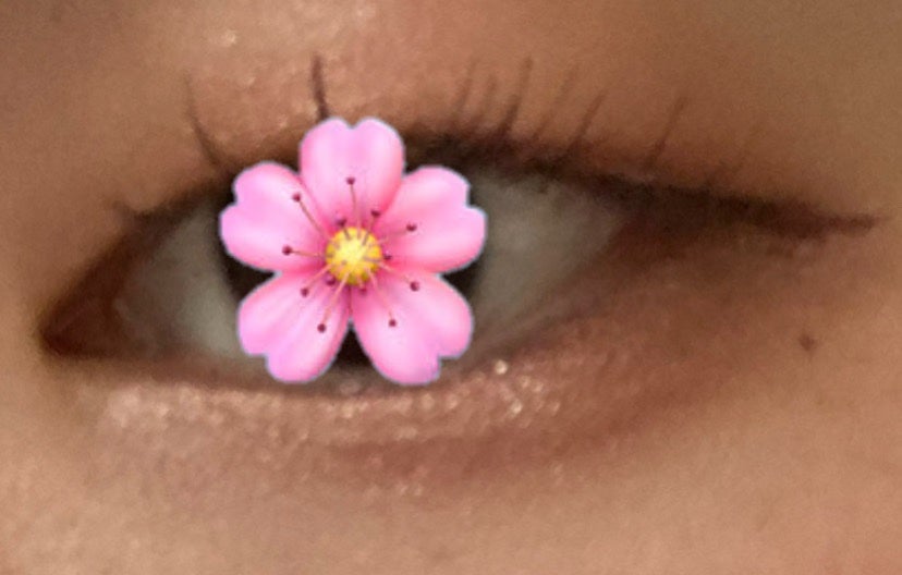 シャドーカスタマイズ/MAJOLICA MAJORCA/単色アイシャドウを使ったクチコミ(2枚目)