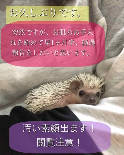 サキナ ピノ/サキナ/美顔器・マッサージを使ったクチコミ(1枚目)