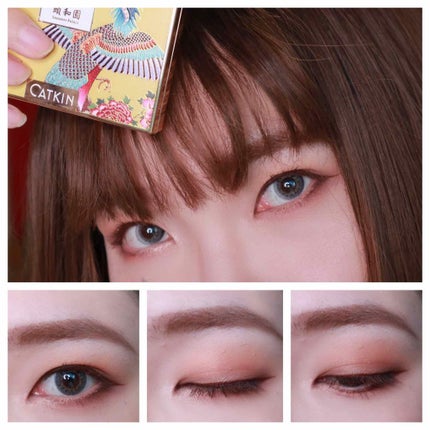 長相思シリーズ 9色アイシャドウパレット/CATKIN/アイシャドウパレットを使ったクチコミ(1枚目)